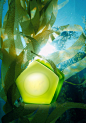 海藻精油肥皂海报背景 页面网页 平面电商 创意素材