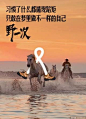 地产设计