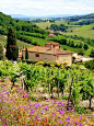 View through vineyards with stone house, Tuscany, Italy Vinyl Wall Mural - Themes Italian Garden, Italian Villa, Villa Amalfi, Italian Vineyard, Permanent Vacation, Italy House, Villas In Italy, Vintage Italy, Southern Italy