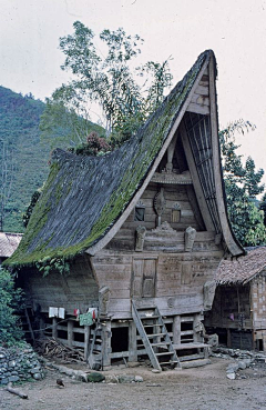 独鼠采集到场景