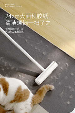 Icey云采集到排版