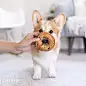 Geordi La Corgi (@lacorgi)的ins主页 · Tofo · Instagram网页版/好用的ins浏览器 (Lookins.me)