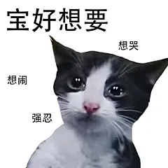 流浪奶牛猫表情包