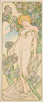 慕夏（mucha）——《花卉》系列之《鸢尾花》1897 ​