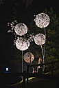 Our steel sculpture dandelions are made from stainless steel wire with copper leaves. The normal garden size dandelions stand around 6 foot high