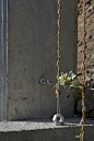 ESassi_Lugano_Gandria_Jardin_Vertical_Foto_MVillada_12_看图王-scaled