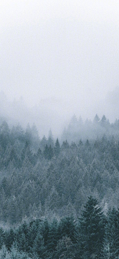 Cheer丨雨水一盒°采集到手机壁纸  >>>