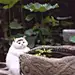 沧尘