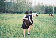 柒月的黄昏采集到其他—动作