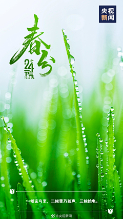 寂离采集到2025年海报