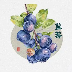 水彩蓝莓_1_黑糖蹄子（接）_来自小红书网页版