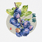 水彩蓝莓_1_黑糖蹄子（接）_来自小红书网页版