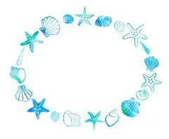 图源免费EPS |贝类和海星的水彩插画