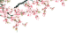 009