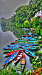 Amazing colored canoes…