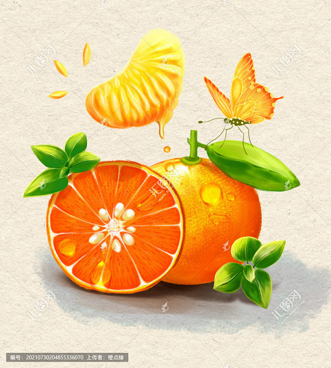 沃柑水果插画绘画柑橘橙子