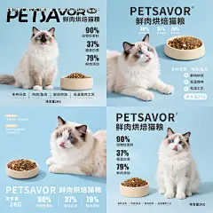源文件下载【布偶猫 猫粮海报】编号：35910031718915927