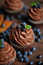 Chocolate Blueberry Cupcake