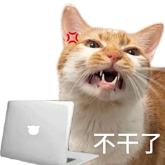 李梓木1采集到小猫表情包