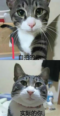 一月阴雨采集到你妹的