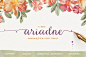 Ariadne Family - Fonts - 1