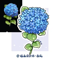 2022-05-03-绣球