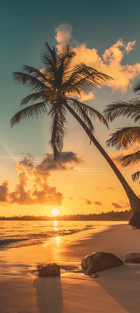 海边 沙滩 日落 夕阳 椰树 风景手机图...