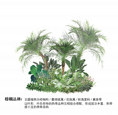 一而再再而三˙ϖ˙采集到A 植物设计