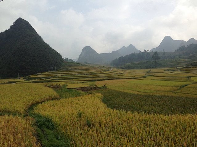 在荔波县城到茂兰景区的路上。,shan1...