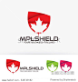 Maple Shield  symbol  insurance  protection  shield  secure. Vector logo template