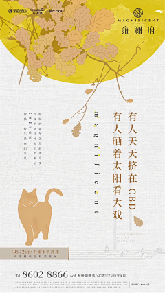 大新大新的新采集到88888