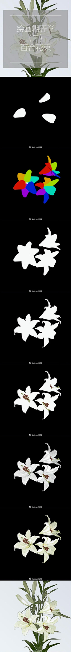 兔柏采集到教教我-教程