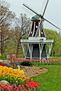 Windmill Island, Tulip Time Festival, Holland, Michigan.  Photo: Beth J18, via Flickr