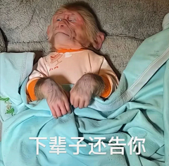名字切一半采集到1-3