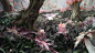 img-16241198416537f6050d61cb4ab25c3ff6e8de804f238
