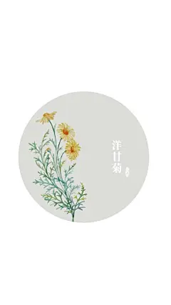 花系列之洋甘菊 文艺 简洁 白底 手机壁纸 锁屏壁纸 键盘壁纸