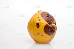 温柏,背景,褐色,水平画幅,形状,梨,水果,无人,黄色,有机食品