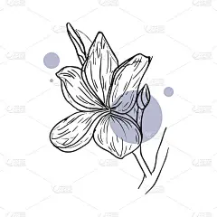 春天和夏天花或绿叶。婚礼概念——鲜花。花的海报。向量安排贺卡或邀请设计。孤立的白色或彩色背景和手绘图
