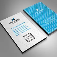 PCV名片印刷/特种纸张名片/特殊工艺名片印刷/东莞长安印刷厂