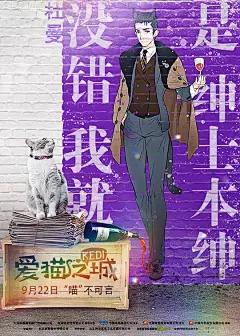 爱猫之城 Kedi 海报