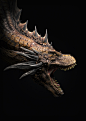 Dragon Sand Head, Ornella SESSA : Hi, i'm a very big fan of fantasy's world, like dragons. This concept art have impressed me a lot, so i wanted to make it in 3d. 

Original concept art : 
https://www.artstation.com/artwork/yG3xR

VDM brush scales : 

htt