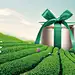 首页-小罐茶旗舰店-天猫Tmall.com