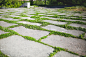 绿色的草从沥青中生长。混凝土道路背景上的植物广场。城市性质的概念。