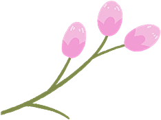 (❁´◡`❁)~采集到弥散花朵
