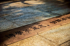 阿喵和咪咪的雨雨采集到学校