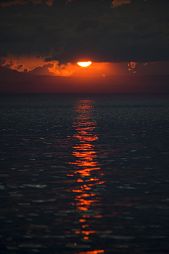 橘子orange橘子采集到思朝思夕思日月