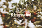 Kingswood apple cider