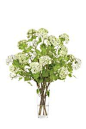 Snowball Waterlike Silk Flower Arrangement: http://huaban.com/bookmarklet/?media=https%3A%2F%2Fs-media-cache-ak0.pinimg.com%2F564x%2F7f%2F8d%2F80%2F7f8d80b91d0f3f1e0d514257353aac81.jpg&w=200&h=300&description=Snowball%20Waterlike%20Silk%20Flow