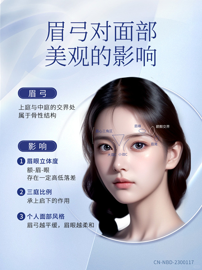 美学科普眉弓内轮廓不可缺少的T区重点 (1)