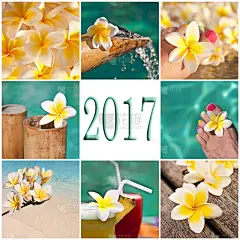 2017年，游泳池和鸡蛋花拼贴